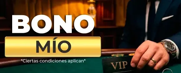 Recarga Diaria de Energía